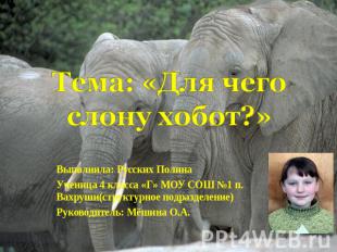 Тема: «Для чего слону хобот?» Выполнила: Русских ПолинаУченица 4 класса «Г» МОУ