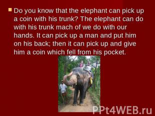 Do you know that the elephant can pick up a coin with his trunk? The elephant ca
