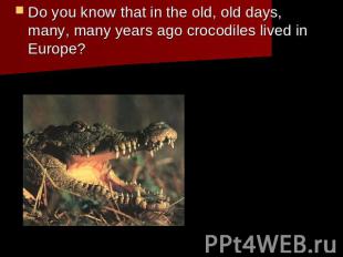 Do you know that in the old, old days, many, many years ago crocodiles lived in