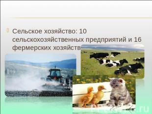 Сельское хозяйство: 10 сельскохозяйственных предприятий и 16 фермерских хозяйств