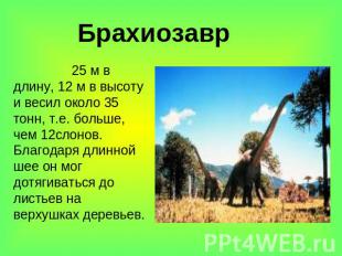 Брахиозавр 25 м в длину, 12 м в высоту и весил около 35 тонн, т.е. больше, чем 1
