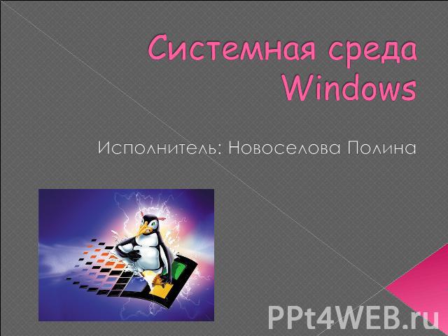 Системная среда Windows Исполнитель: Новоселова Полина