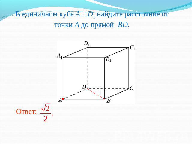 В единичном кубе A…D1 найдите расстояние от точки A до прямой BD.