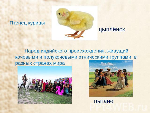 Птенец курицы Народ индийского происхождения, живущий кочевыми и полукочевыми этническими группами в разных странах мира