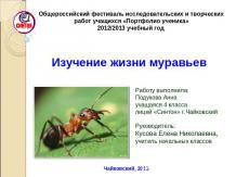 Изучение жизни муравьев