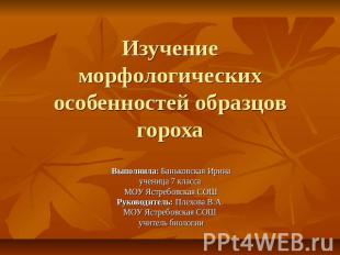 Изучение морфологических особенностей образцов горохаВыполнила: Баньковская Ирин