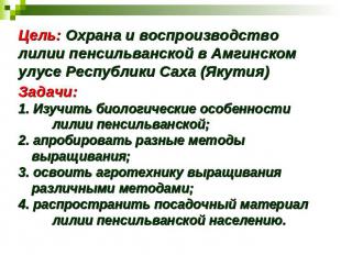Цель: Охрана и воспроизводство лилии пенсильванской в Амгинском улусе Республики
