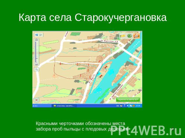Карта села СтарокучергановкаКрасными черточками обозначены места забора проб пыльцы с плодовых деревьев