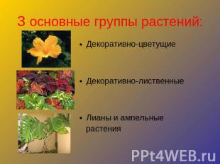 3 основные группы растений:Декоративно-цветущиеДекоративно-лиственныеЛианы и амп