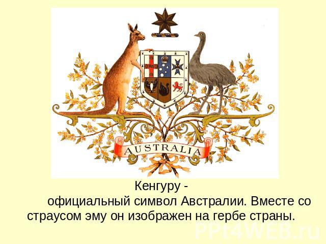 Кенгуру - официальный символ Австралии. Вместе со страусом эму он изображен на гербе страны.