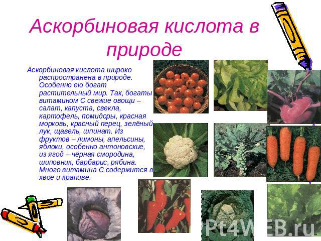 Аскорбиновая кислота в природеАскорбиновая кислота широко распространена в природе. Особенно ею богат растительный мир. Так, богаты витамином С свежие овощи – салат, капуста, свекла, картофель, помидоры, красная морковь, красный перец, зелёный лук, …