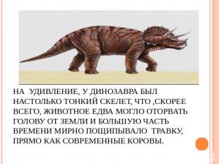 На удивление, у динозавра был настолько тонкий скелет, что ,скорее всего, животн