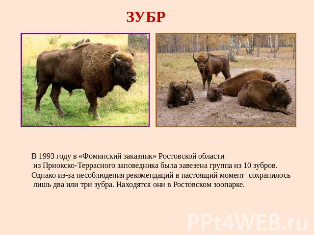 В 1993 году в «Фоминский заказник» Ростовской области из Приокско-Террасного заповедника была завезена группа из 10 зубров.Однако из-за несоблюдения рекомендаций в настоящий момент сохранилось лишь два или три зубра. Находятся они в Ростовском зоопарке.