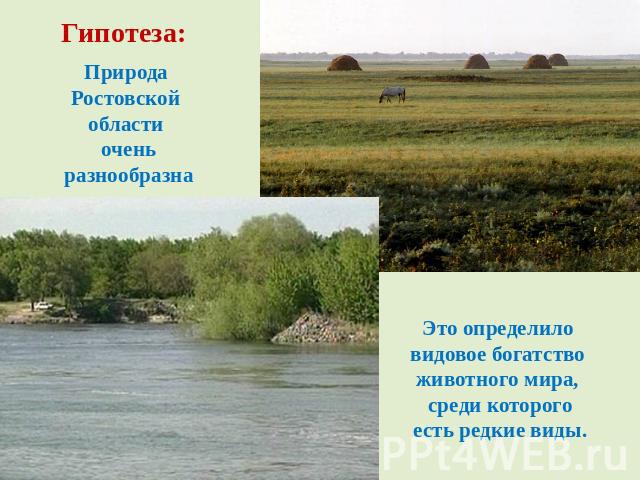 Природа Ростовской области очень разнообразна Это определило видовое богатство животного мира, среди которогоесть редкие виды.