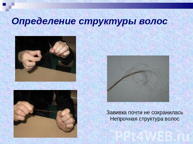 Определение структуры волосЗавивка почти не сохраниласьНепрочная структура волос