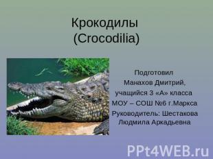 КрокодилыПодготовил Манахов Дмитрий,учащийся 3 «А» класса МОУ – СОШ №6 г.МарксаР