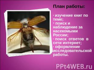 План работы: изучение книг по теме; поиск и наблюдение за насекомыми России; пои