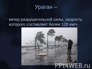 Ураган –ветер разрушительной силы, скорость которого составляет более 120 км/ч.