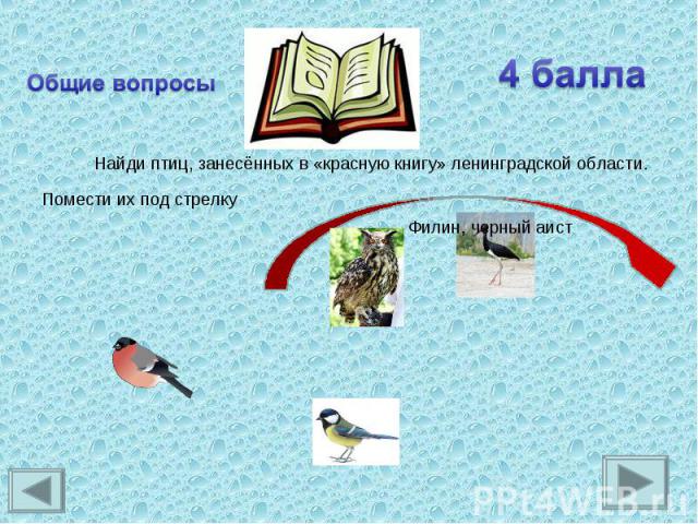 Общие вопросыНайди птиц, занесённых в «красную книгу» ленинградской области.Помести их под стрелку
