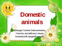 Domestic animals
