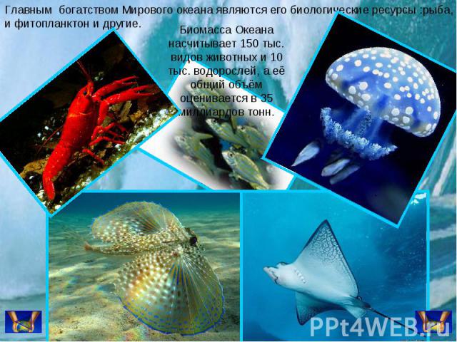 Главным богатством Мирового океана являются его биологические ресурсы :рыба, и фитопланктон и другие.Биомасса Океана насчитывает 150 тыс. видов животных и 10 тыс. водорослей, а её общий объём оценивается в 35 миллиардов тонн.