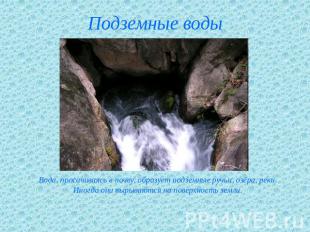Подземные воды Вода, просачиваясь в почву, образует подземные ручьи, озёра, реки