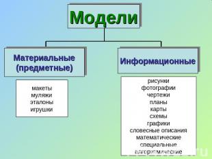 Модели Материальные (предметные) макеты муляжи эталоны игрушки Информационные ри