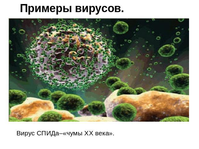 Примеры вирусов. Вирус СПИДа–«чумы XX века».