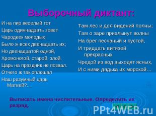 Выборочный диктант: И на пир веселый тот Царь одиннадцать зовет Чародеек молодых