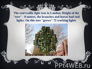 The real traffic light tree in London. Height of the "tree" - 8 meters, the bran