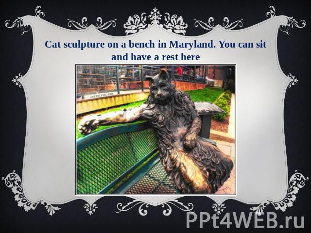 Cat sculpture on a bench in Maryland. You can sit and have a rest here