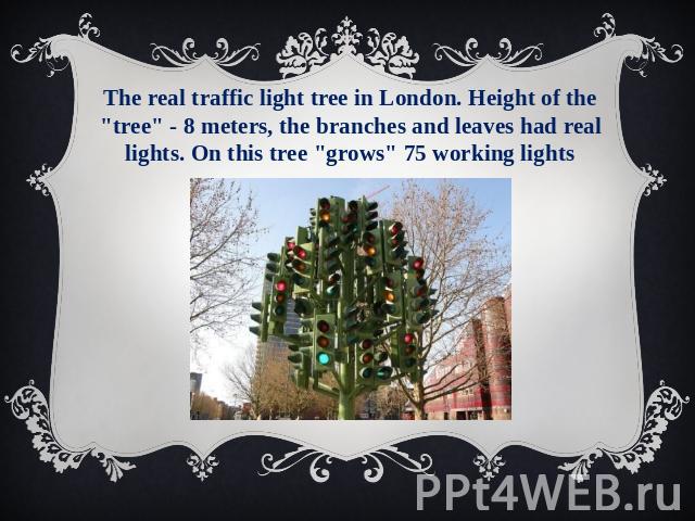 The real traffic light tree in London. Height of the 