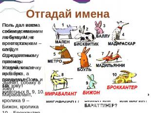 Отгадай имена Поль дал имена своим домашним любимцам не просто так, а следуя опр