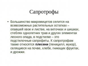 Сапротрофы Большинство макромицетов селится на всевозможных растительных остатка