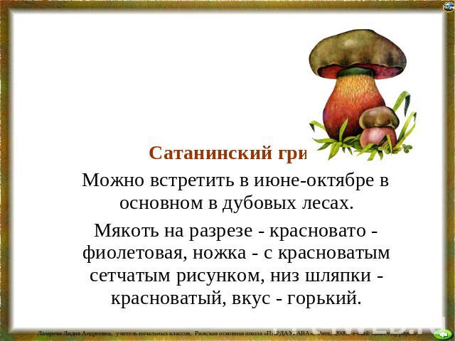 Сатанинский гриб Можно встретить в июне-октябре в основном в дубовых лесах. Мякоть на разрезе - красновато - фиолетовая, ножка - с красноватым сетчатым рисунком, низ шляпки - красноватый, вкус - горький.