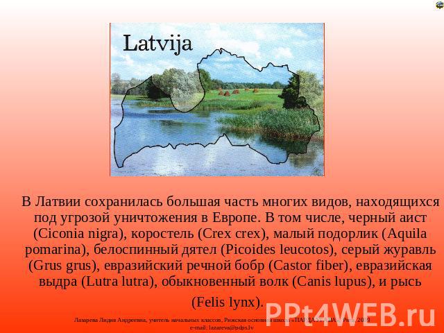 В Латвии сохранилась большая часть многих видов, находящихся под угрозой уничтожения в Европе. В том числе, черный аист (Ciconia nigra), коростель (Crex crex), малый подорлик (Aquila pomarina), белоспинный дятел (Picoides leucotos), серый журавль (G…