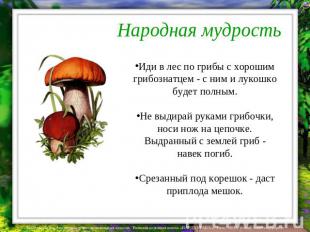 Народная мудрость Иди в лес по грибы с хорошим грибознатцем - с ним и лукошко бу