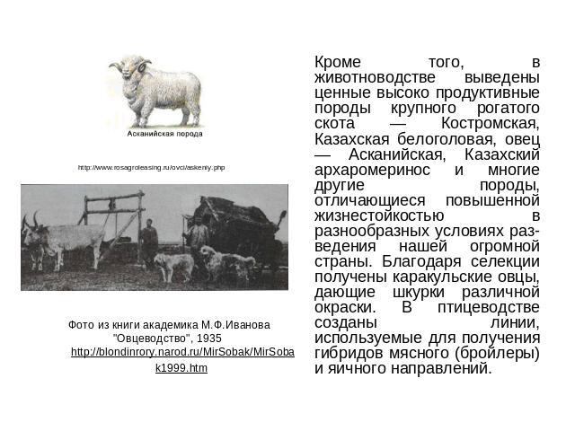 Кроме того, в животноводстве выведены ценные высоко продуктивные породы крупного рогатого скота — Костромская, Казахская белоголовая, овец — Асканийская, Казахский архаромеринос и многие другие породы, отличающиеся повышенной жизнестойкостью в разно…