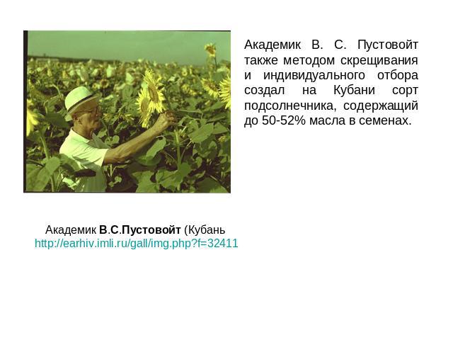 Академик В. С. Пустовойт также методом скрещивания и индивидуального отбора создал на Кубани сорт подсолнечника, содержащий до 50-52% масла в семенах.