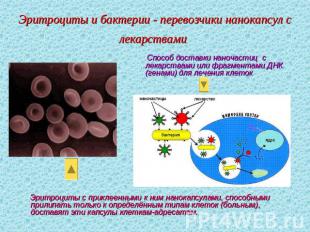 Эритроциты и бактерии - перевозчики нанокапсул с лекарствами Способ доставки нан