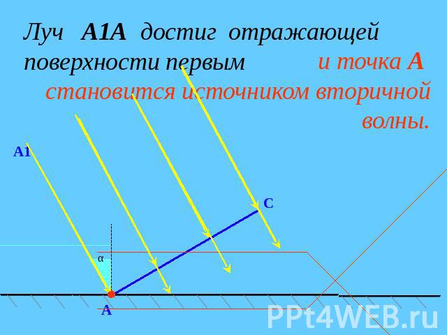 Луч А1А достиг отражающей поверхности первым и точка А становится источником вторичной волны.