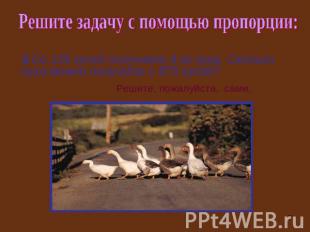 Решите задачу с помощью пропорции: 3.Со 125 гусей получают 4 кг пуха. Сколько пу
