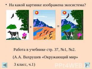 На какой картинке изображена экосистема? Работа в учебнике стр. 37, №1, №2. (А.А