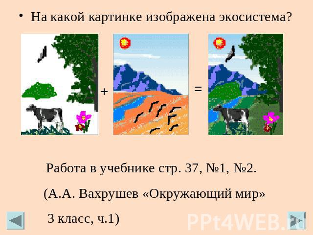 На какой картинке изображена экосистема? Работа в учебнике стр. 37, №1, №2. (А.А. Вахрушев «Окружающий мир» 3 класс, ч.1)