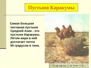 Пустыня Каракумы Самая большая песчаная пустыня Средней Азии - это пустыня Карак