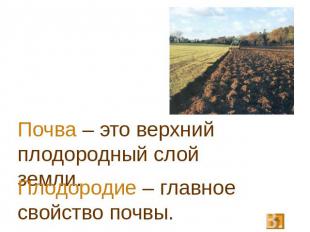 Почва – это верхний плодородный слой земли. Плодородие – главное свойство почвы.