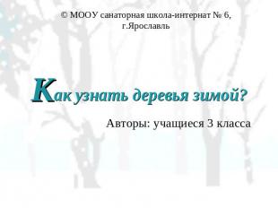 © МООУ санаторная школа-интернат № 6, г.Ярославль Как узнать деревья зимой?Автор