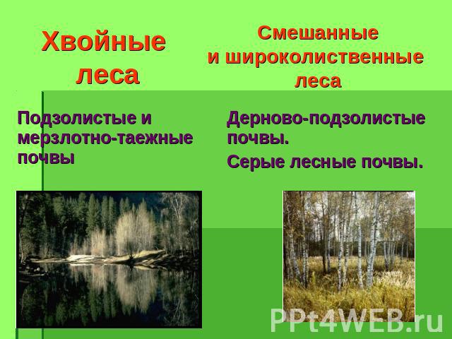 Хвойные леса Смешанные и широколиственные леса Подзолистые и мерзлотно-таежные почвы Дерново-подзолистые почвы. Серые лесные почвы.