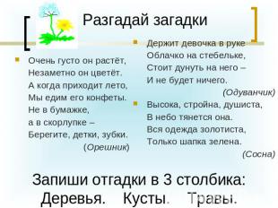 Разгадай загадки Очень густо он растёт, Незаметно он цветёт. А когда приходит ле