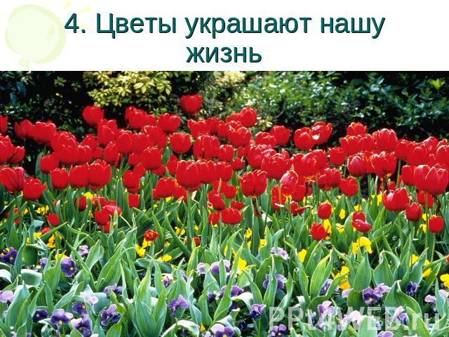 4. Цветы украшают нашу жизнь